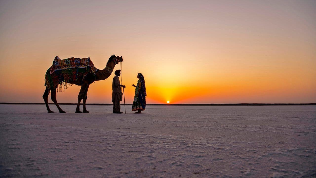 Rann of Kutch White Desert Experience (2-Day Self-Guided Plan)